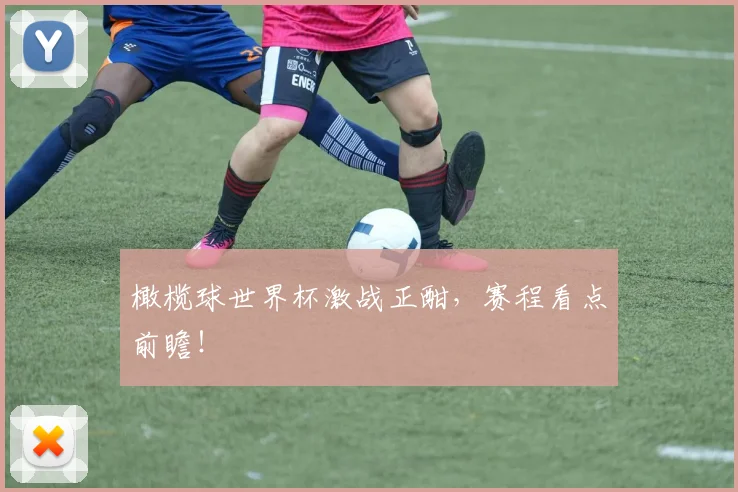 橄榄球世界杯激战正酣，赛程看点前瞻！