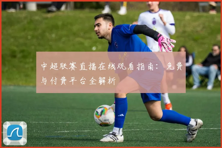 中超联赛直播在线观看指南：免费与付费平台全解析