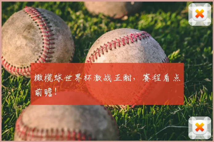 橄榄球世界杯激战正酣，赛程看点前瞻！